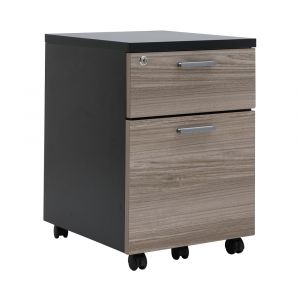 Tủ Đựng Hồ Sơ Gỗ Công Nghiệp AKTIV Màu Gỗ W45xD53xH19.5Cm