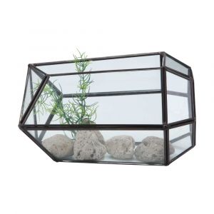 TERRARIUM-C Glass terrarium 8'' CG