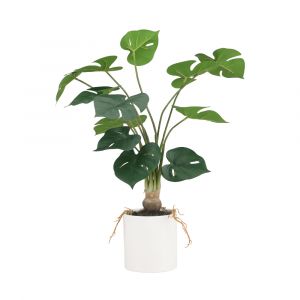 Chậu Cây Giả Nhựa PEVA PAMELA Màu Xanh Lá W32xD28xH55Cm