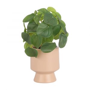 OLIVIA Pilea in ceramic pot GN/BE