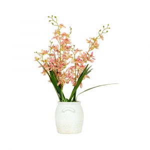 GINNY Orchid in ceramic pot PK