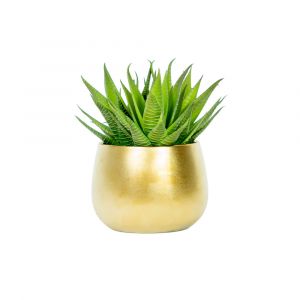 JANE-B Aloe in ceramic pot GN/GD