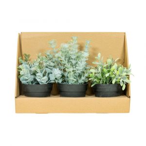 SHERON-B Plant in pot 3pcs/set GN