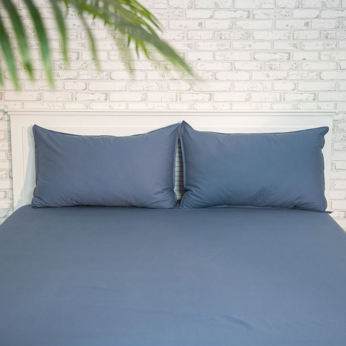 Bộ Ga Cotton VALERIE Màu Xanh