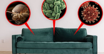 Làm Thế Nào Để Ghế Sofa Da Luôn Bền Đẹp Qua Năm Tháng?