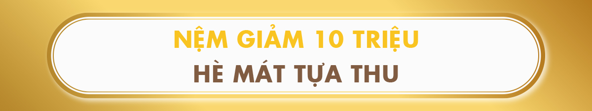 NỆM GIẢM 10 TRIỆU HÈ MÁT TỰA THU